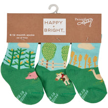 Load image into Gallery viewer, Little Farm Baby Sock Set