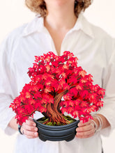 Load image into Gallery viewer, Fresh Cut Paper Bouquet - Red Maple Tree