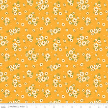 Load image into Gallery viewer, Saffron Daisies - Autumn Afternoon