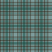 Load image into Gallery viewer, Teal Plaid - Let's Get Lost In The Woods