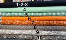 Load image into Gallery viewer, Spooky Friends Quilt Kit - Surf's Up Mega Mystery