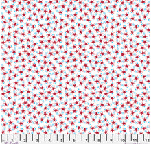 Load image into Gallery viewer, Stars, Stripes & Squiggles - Happy Birthday America