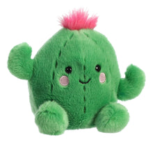 Load image into Gallery viewer, Prickles Cactus - Palm Pals