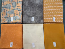 Load image into Gallery viewer, Sunset In Michigan 6 Fat Quarter Bundle - Lucky Duck Mini Mystery