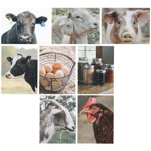 Load image into Gallery viewer, Farmstead Note Card Set
