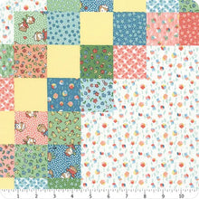 Load image into Gallery viewer, Multi Cheater Print - Playtime 30's