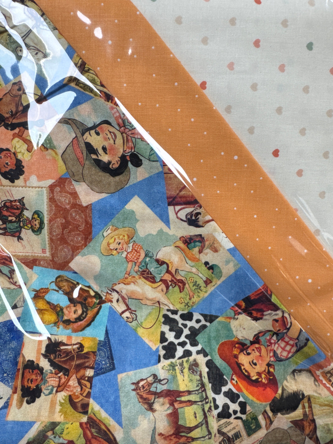 Rodeo Postcard -  3 Yard Bundle