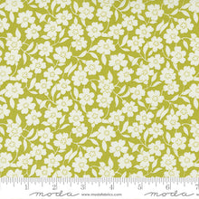 Load image into Gallery viewer, Avocado Mellow Meadow - Flower Power
