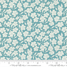 Load image into Gallery viewer, Turquoise Mellow Meadow - Flower Power
