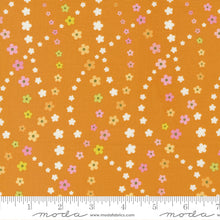 Load image into Gallery viewer, Clementine Lazy Daisy - Flower Power
