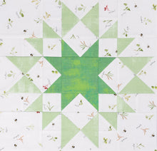 Load image into Gallery viewer, Quick &amp; Easy All Stars Block Tool - Debbie Rodgers
