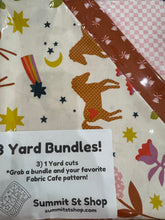 Load image into Gallery viewer, Pink Pony Club - 3 Yard Bundle
