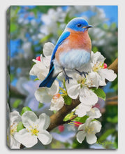 Load image into Gallery viewer, Bluebird Tabletop Lighted Canvas
