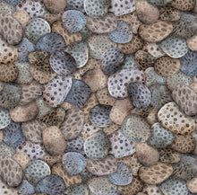 Load image into Gallery viewer, Petoskey Stones - All Michigan Shop Hop 2025
