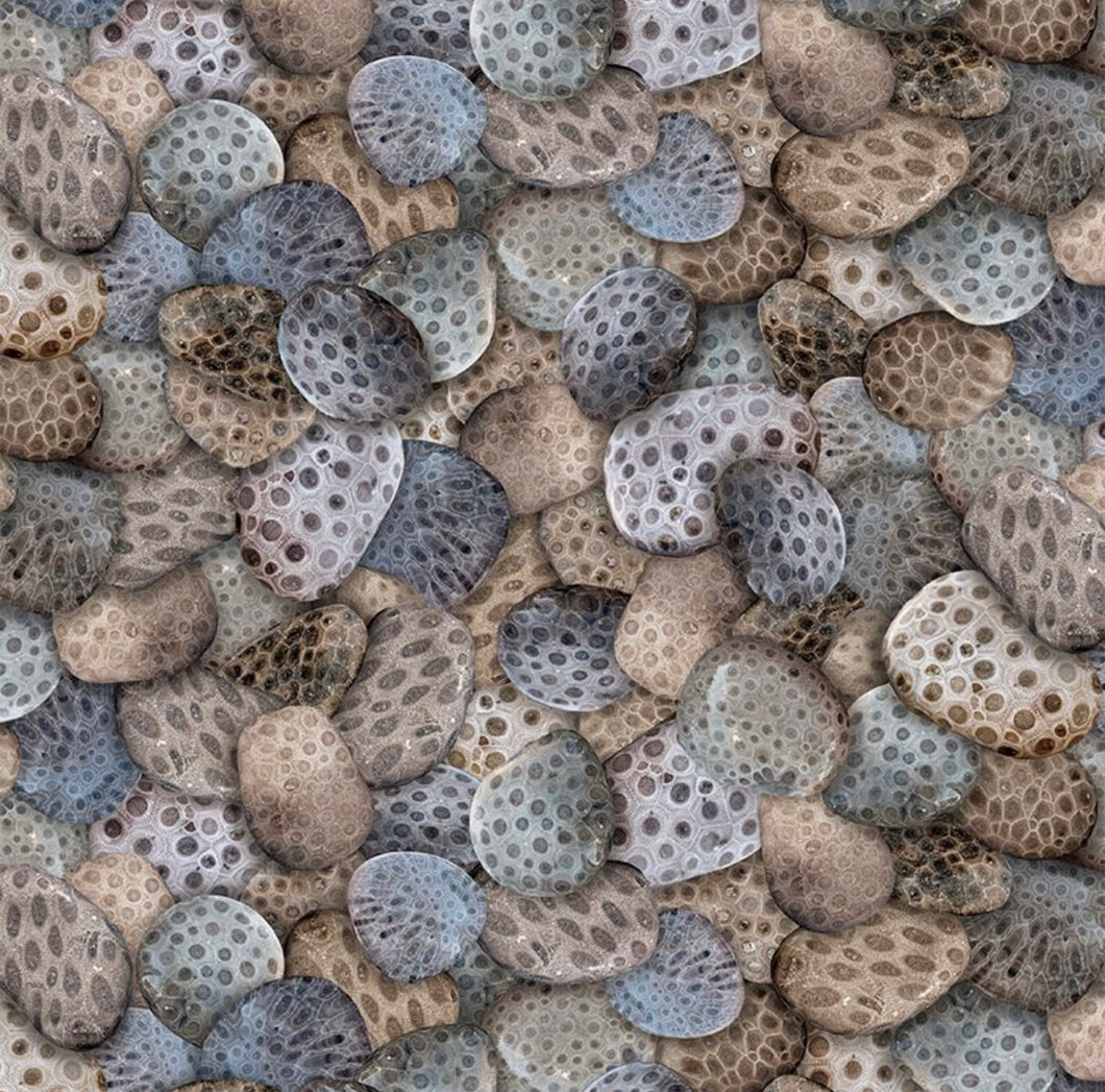 Petoskey Stones - All Michigan Shop Hop 2025