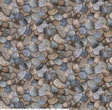 Load image into Gallery viewer, Petoskey Stones - All Michigan Shop Hop 2025
