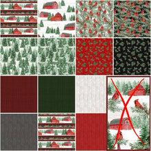 Load image into Gallery viewer, Country Cardinals 40 Karat Crystals (Jelly Roll)
