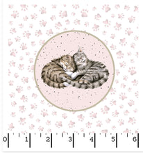 Load image into Gallery viewer, Multi Running Circles Cats - Whiskers &amp; Paws
