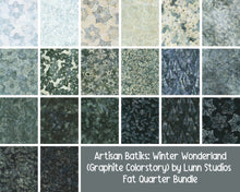 Load image into Gallery viewer, Winter Wonderland - Graphite Colorstory Layer Cake (10&quot; Squares)
