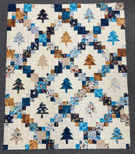 Load image into Gallery viewer, Evergreen Quilt Top Kit - 2026 All Michigan Shop Hop

