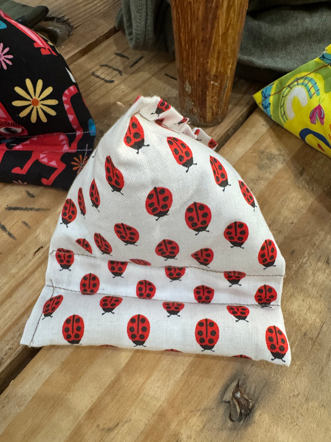 Ladybugs - Cassy Raymond