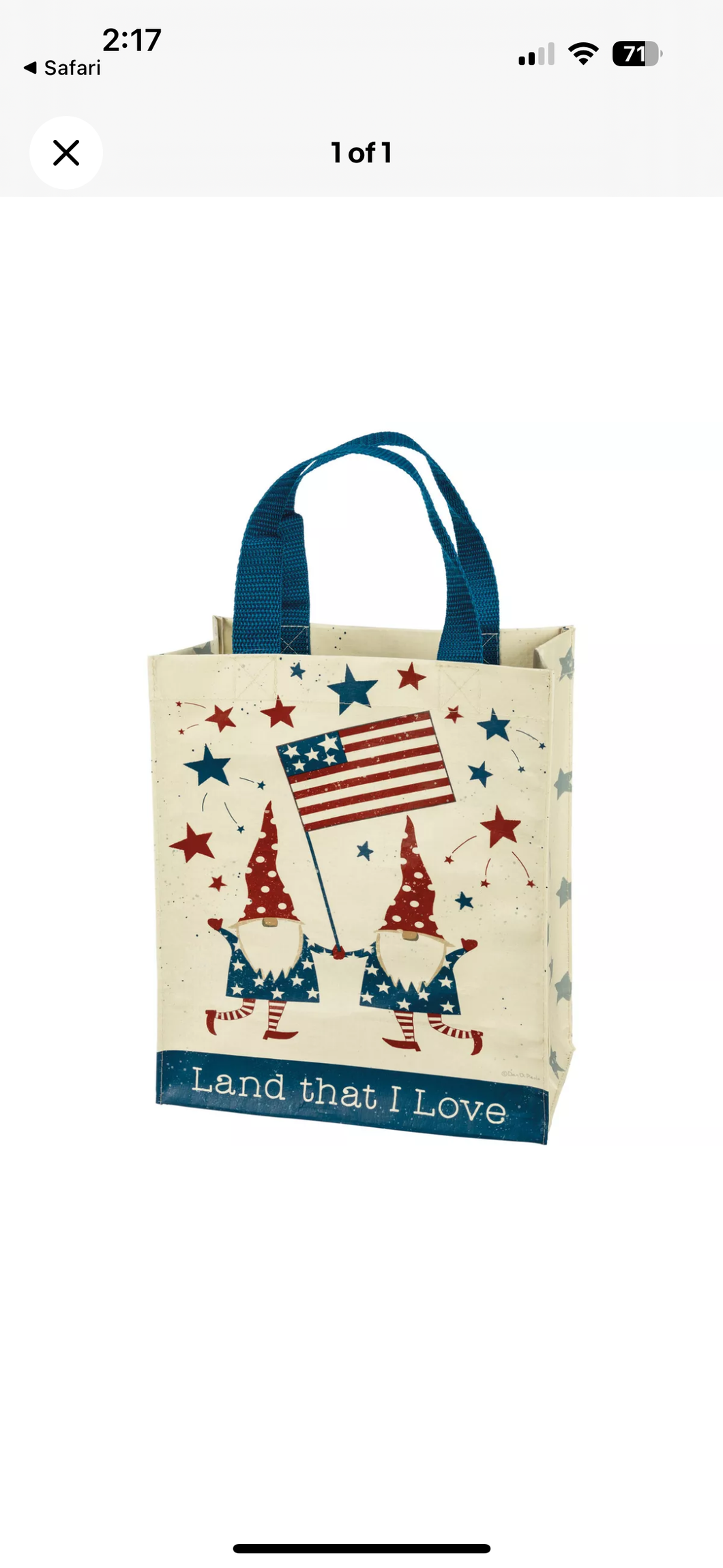 God Bless America Daily Tote