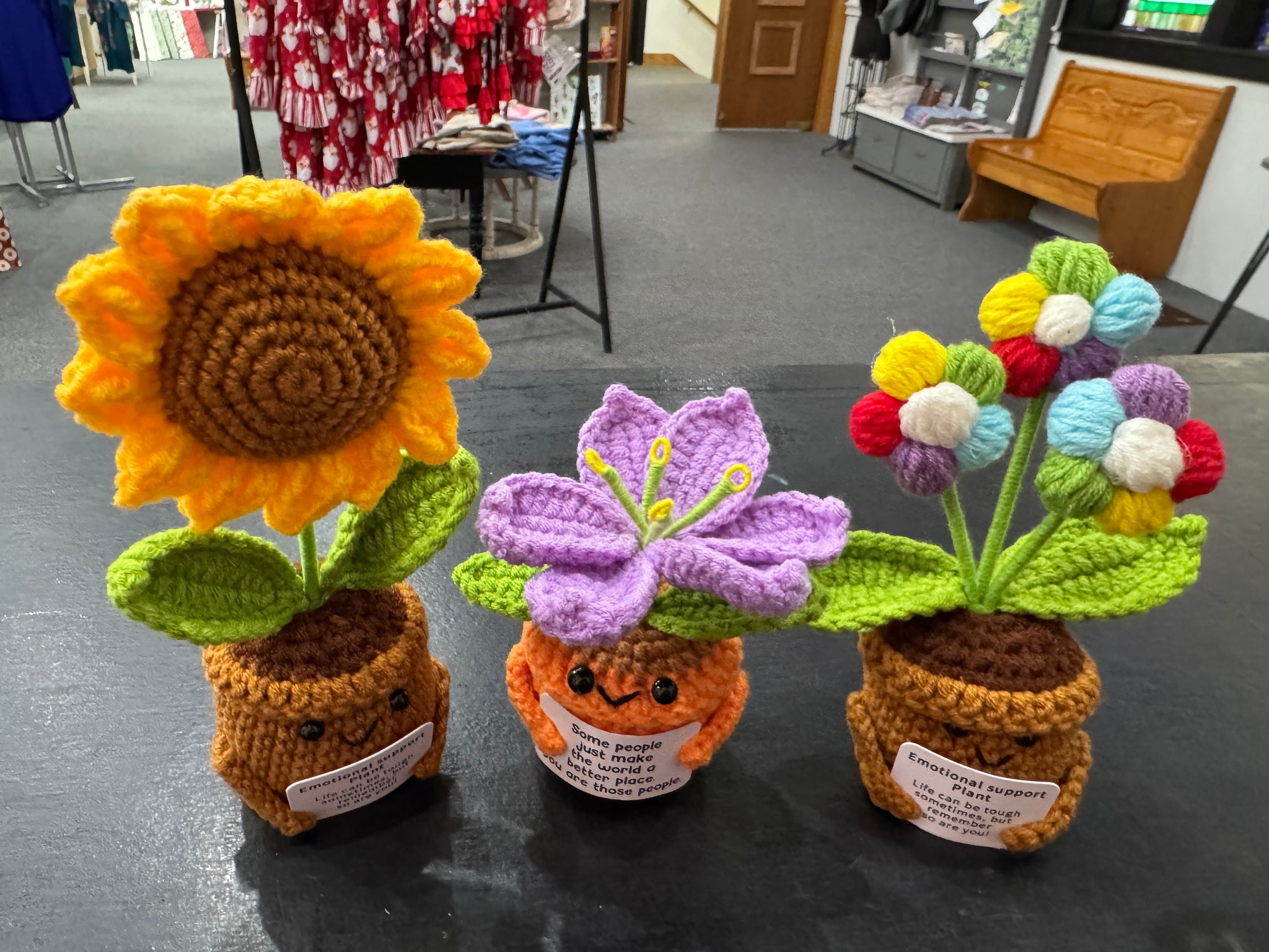 Crochet Emotional Support Potted Plant – Summit St Shop