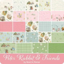 Load image into Gallery viewer, Peter Rabbit &amp; Friends Rolie Polie (Jelly Roll)
