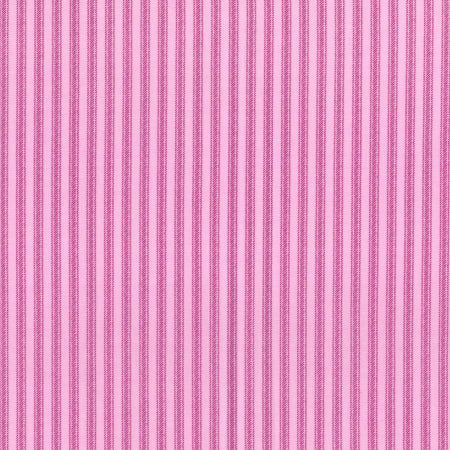 Wildflower Ticking Away - Dots & Stripes