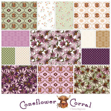 Load image into Gallery viewer, Coneflower Corral Charm Pack - 5 Inch Stacker
