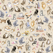 Load image into Gallery viewer, Cream Directional Cats - Whiskers &amp; Paws
