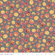 Load image into Gallery viewer, Gray Pumpkins - Fright Delight
